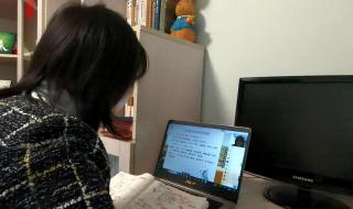 老师上网课辱骂学生