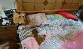 可以免费约出来睡觉的软件