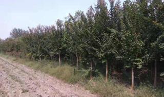 安徽省蚌埠市五河县 安徽省蚌埠市五河县