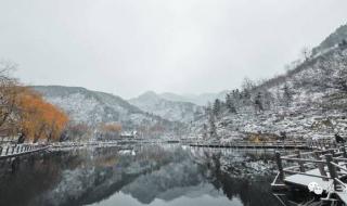 山东多地迎来大雪局部暴雪 山东多地迎来大雪局部暴雪